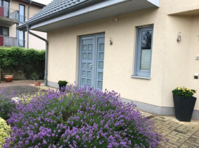 Ferienwohnung „Am Birkenhain“